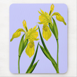 Mousepad Pasta do Mouse Gêmeo Iris Flag Amarelo