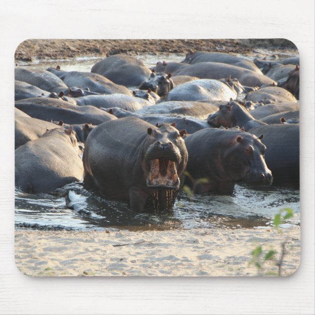 Mousepad Pasta do mouse Hippo (Frente)