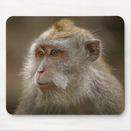 Mousepad Pasta do mouse macaco