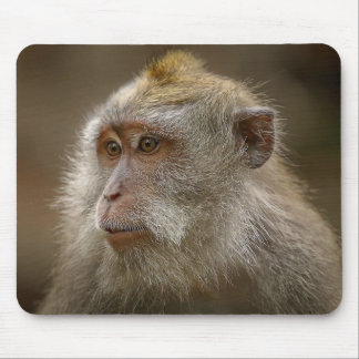 Mousepad Pasta do mouse macaco