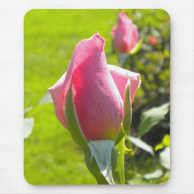 Mousepad Pasta do mouse rosa rosa rosa rosa (Frente)
