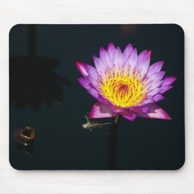Mousepad Pasta do mouse Roxo Lotus Waterlily & Dragonfly Ny (Frente)