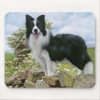 Mousepad Pasta-Mão-Mão De Cão De Cães De Collie Preta E Bra