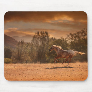 Mousepad Pasta-Mão-Mouse de Cavalo Appaloosa
