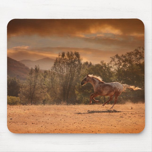 Mousepad Pasta-Mão-Mouse de Cavalo Appaloosa (Frente)