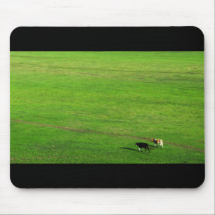 Mousepad Pastagem Panorâmica