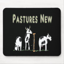 Pastagens Novas
