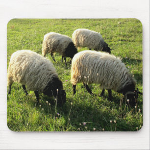 Mousepad Pastando carneiros
