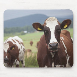 Mousepad Pastando vacas