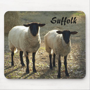 Mousepad Pasto atrasado do Barnyard da luz do sol do dia