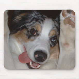 Mousepad Pastor australiano