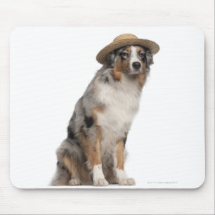 Mousepad Pastor australiano (10 meses velho) que veste a