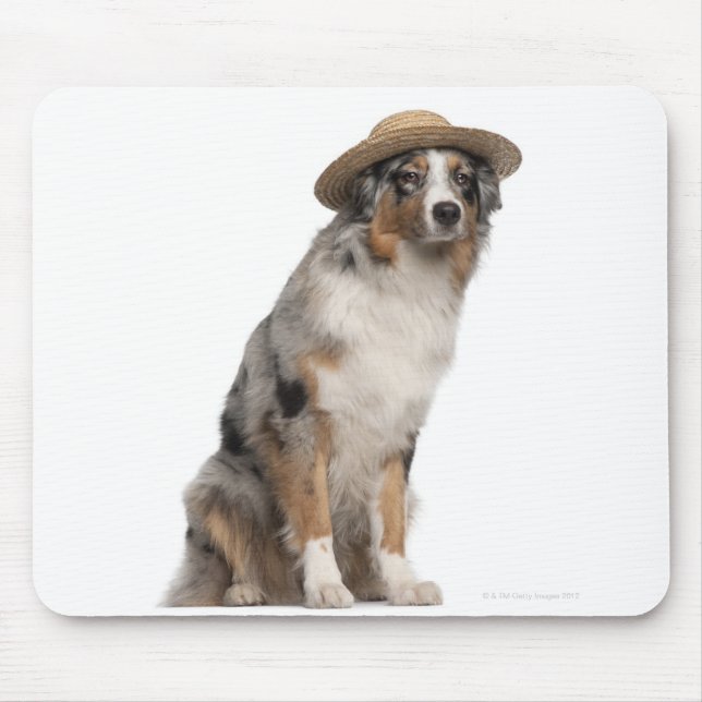 Mousepad Pastor australiano (10 meses) vestindo um (Frente)