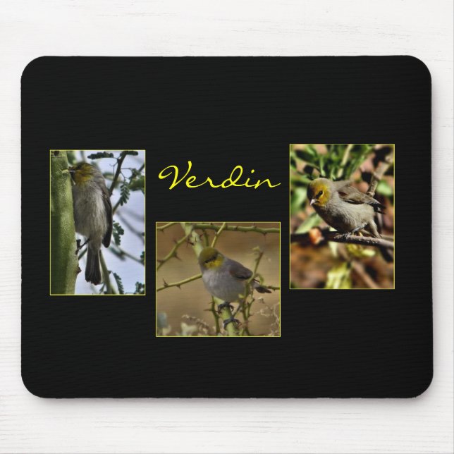 Mousepad Pata-pássaro de Verdin (Frente)