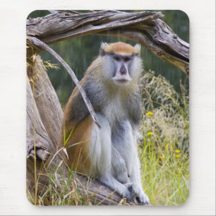 Mousepad Patas Monkey