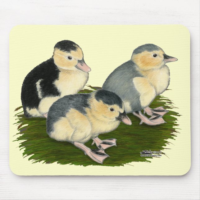 Mousepad Patazinhos de Pega Azul (Frente)