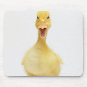 Mousepad Patinho
