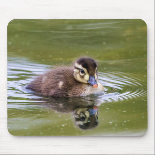 Mousepad Patinho do pato selvagem