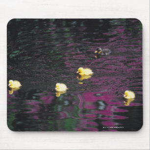 Mousepad patinhos