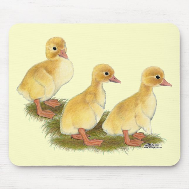 Mousepad Patinhos Amarelos (Frente)