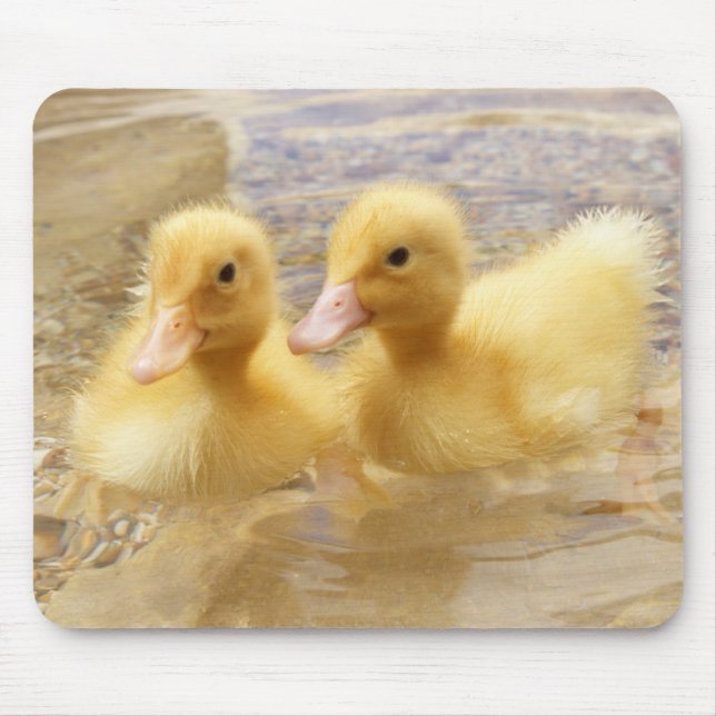 Mousepad Patinhos amarelos distorcido das imagens | de (Frente)
