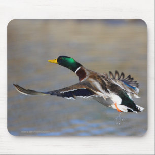 Mousepad Pato