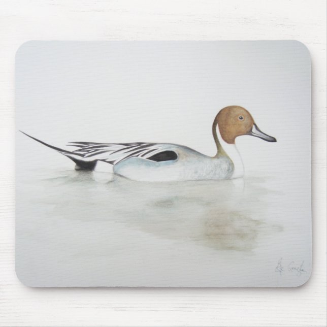Mousepad Pato 2011 do arrabio (Frente)