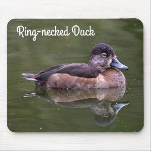 Mousepad pato Anel-necked