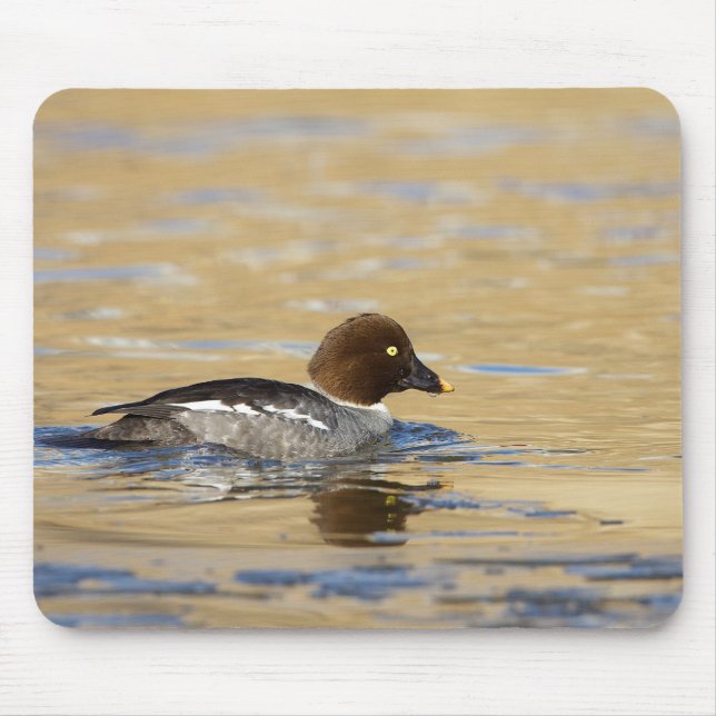 Mousepad Pato-de-Goldeneye (Frente)