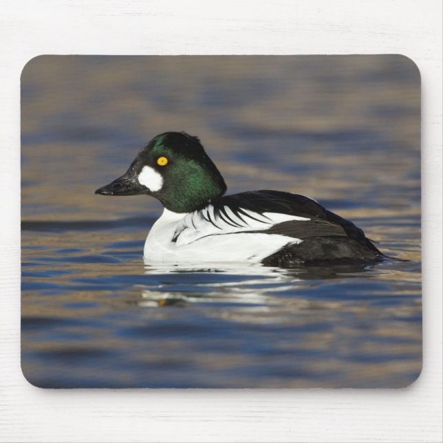 Mousepad Pato de Goldeneye masculino (Frente)