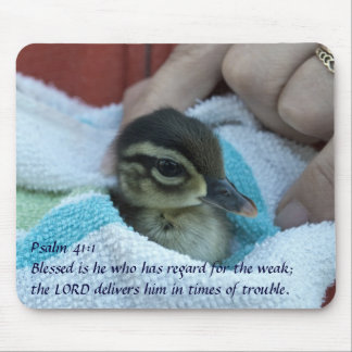 Mousepad Pato de madeira do bebê