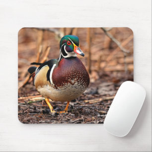 Mousepad Pato de madeira masculina na floresta