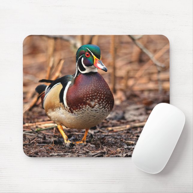 Mousepad Pato de madeira masculina na floresta (Com mouse)