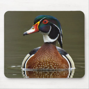 Mousepad Pato de Madeira na Água