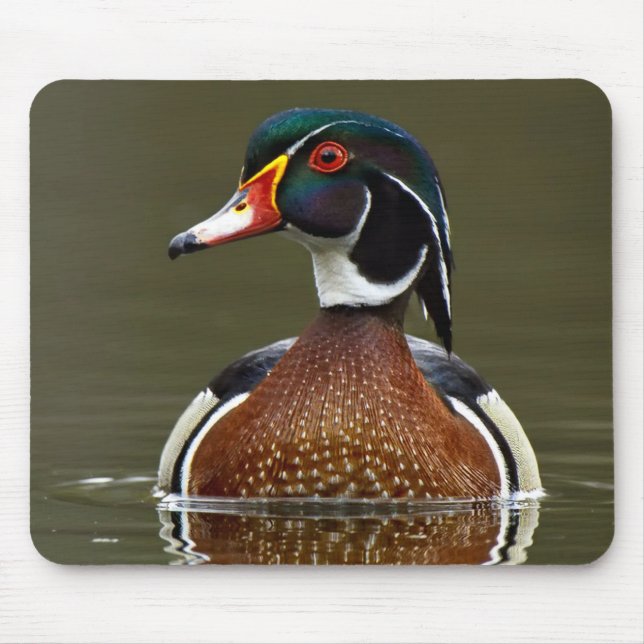 Mousepad Pato de Madeira na Água (Frente)