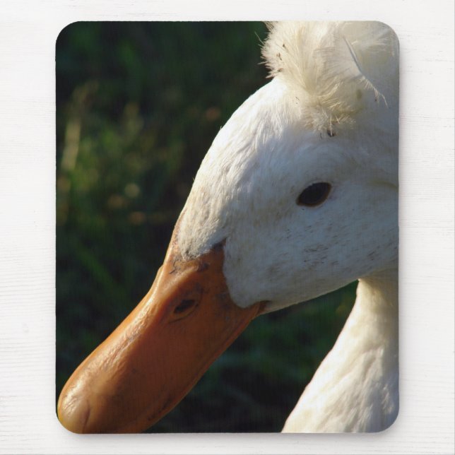 Mousepad Pato Detido (Frente)