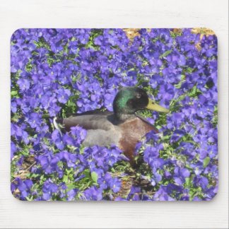 Mousepad Pato do pato selvagem que aprecia uma cama de