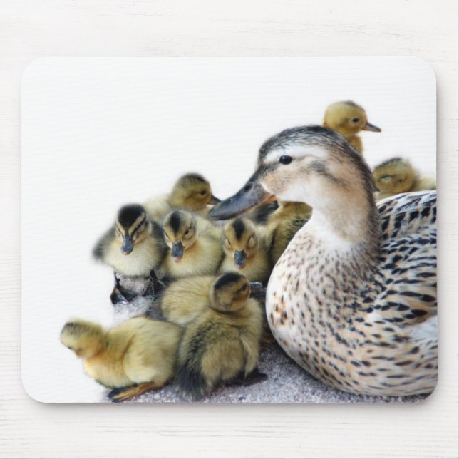 Mousepad Pato e Pato-Mãe Selvagem (Frente)