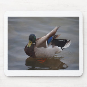 Mousepad Pato masculino do pato selvagem