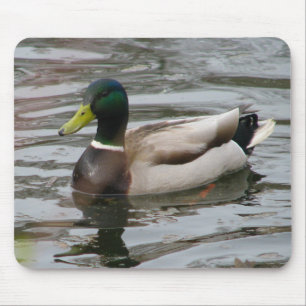 Mousepad Pato selvagem