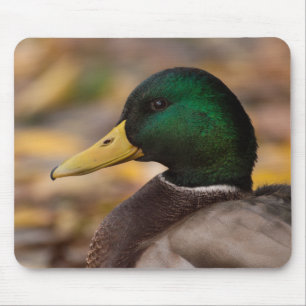 Mousepad Pato selvagem
