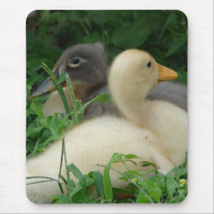 Mousepad Patos