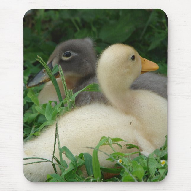 Mousepad Patos (Frente)