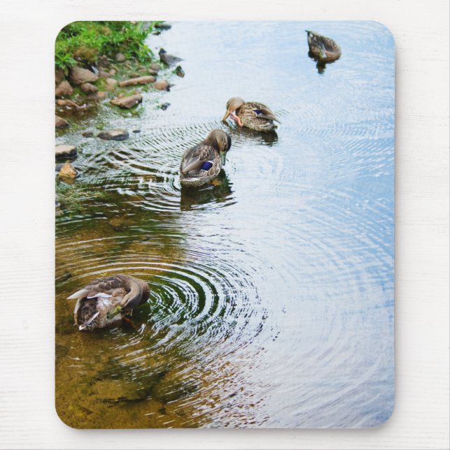 Mousepad Patos de alvoroço 2 (Frente)