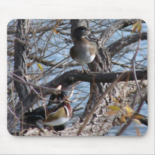 Mousepad Patos de madeira numa árvore
