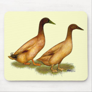 Mousepad Patos: Khaki Campbell