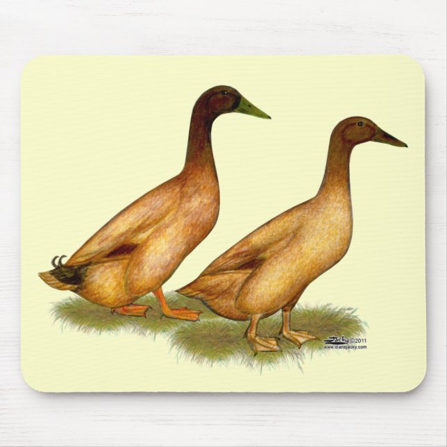 Mousepad Patos: Khaki Campbell (Frente)