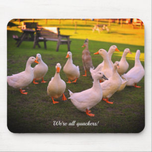 Mousepad Patos no Parque Engraçado Somos todos Quackers