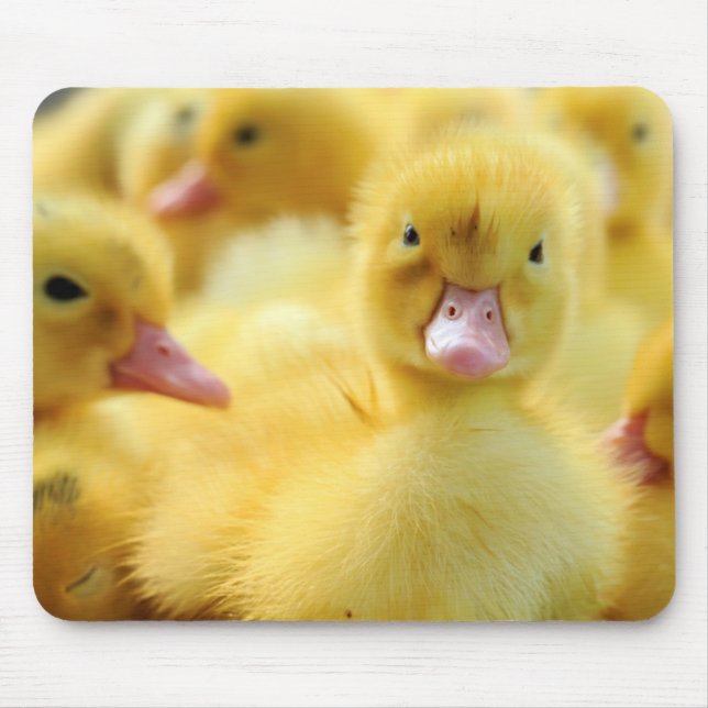 Mousepad Patos pequenos (Frente)