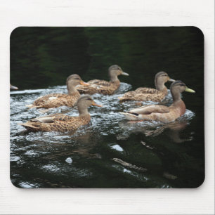 Mousepad Patos-reais